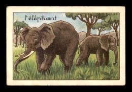 IMAGES - ANIMAUX - L'ELEPHANT - ILLUSTRATEUR CALVET-ROGNIAT - EDITIONS EDUCATIVES - FORMAT 9.3 X 6.3 CM - Sonstige & Ohne Zuordnung