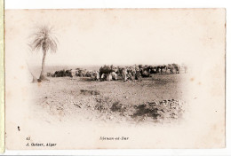 30778 / ⭐ ◉ Algerie DJENAN Ed DAR Env. BENI-OUNIF  Sahara Oranais Chameaux 1890s GEISER 41 Algeria Algerije - Other & Unclassified