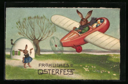 AK Vermenschlichter Osterhase Fliegt Mit Einem Flugzeug  - Easter