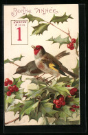 AK Vögel Auf Einem Beerenzweig, Neujahr  - New Year