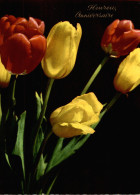 CPSM Heureux Anniversaire : Tulipes - Birthday
