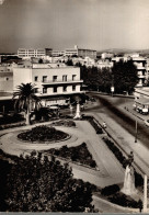 CPSM Bizerte Avenue De France - Tunisie