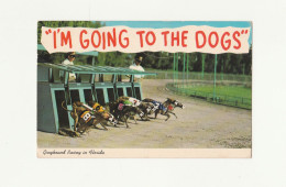 Cartolina Viaggiata AIR MAIL FLORIDA " I'M GOING TO THE DOGS " Corsa Cani 1973 - Dogs