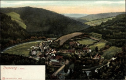 CPA Treseburg Thale Im Harz, Hotel Weisser Hirsch, Bodetal, Panorama - Autres & Non Classés