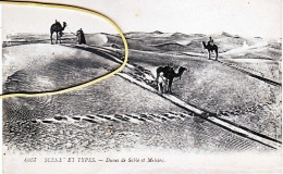 ALGERIE Dunes De Sable Et Mehara (dromadaires) - Plaatsen