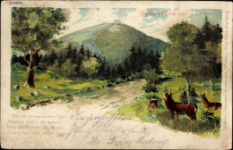 Lithographie Brotterode In Thüringen, Inselsberg, Hirsch, Panorama - Other & Unclassified