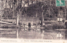 21 - Cote D Or -  CHATILLON  Sur SEINE - Source Des Ducs - Lavandieres - Chatillon Sur Seine