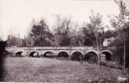 86 - Vienne -  CHAMPAGNE SAINT HILAIRE - Le Pont De Saulx - Autres & Non Classés