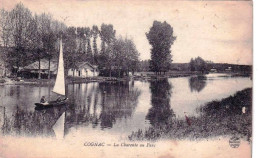 16 - Charente -  COGNAC -  La Charente Au Parc - Cognac