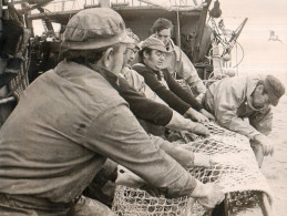 Action De Pêche Sur Le Chalutier Hemerica - Bateaux