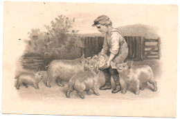 Illustrateur : à Identifier : Petit Enfant Donnant à Manger Aux Cochons : éditeur - L. Fontaine - Montpellier - 1900-1949