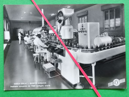 COCA COLA - BUSTO ARSIZIO, Factory Industrial Lines, Photo Postcard 1950's (DCP01) - Autres & Non Classés