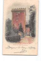 Château De BOISY Près ROANNE - Très Bon état - Other & Unclassified