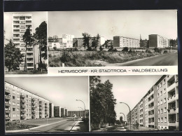 AK Hermsdorf /Kr. Stadtroda, Strassenpartie In Der Waldsiedlung, Hochhaus  - Stadtroda