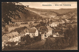 AK Bienenmühle /Rechenberg, Blick Vom Kadenberg  - Rechenberg-Bienenmühle