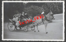 Postal Fotográfico * Charrete * CPA Enfants Charrette à Chevaux - Horses