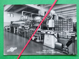 BIRRA WUHRER, Factory Industrial Lines, Photo Postcard 1950's, Beer, Bier, (DCP01) - Autres & Non Classés