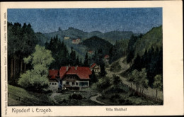 Luna CPA Kipsdorf Altenberg Im Erzgebirge, Villa Waldhof - Other & Unclassified