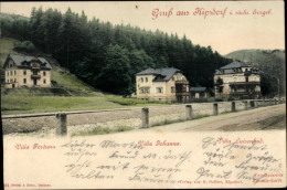 CPA Kipsdorf Altenberg Im Erzgebirge, Villa Johanna, Villa Fortuna, Villa Luisenbad - Other & Unclassified