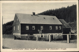 CPA Kratzhammer Altenberg Erzgebirge, Haus Löwe, Wald - Other & Unclassified