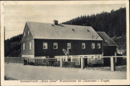 CPA Kratzhammer Altenberg Erzgebirge, Haus Löwe, Wald - Other & Unclassified