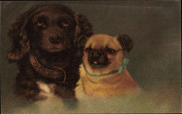 Artiste CPA Hundeportraits, Zwei Hunde, Halsband - Andere & Zonder Classificatie