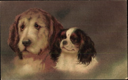 Artiste CPA Zwei Hunde, Pekingese, Großer Brauner Hund - Otros & Sin Clasificación