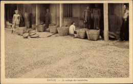 CPA Banam Vietnam, Le Séchage Des Cacahuètes, Des Habitants - Vietnam
