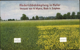 CPA Hederichbekämpfung In Hafer, H. Wyers, Baak Bei Zutphen, Landwirtschaft, Reklame - Other & Unclassified
