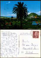 Postales Gran Canaria Landschafe Und Arucas Stadt 1972 - Other & Unclassified