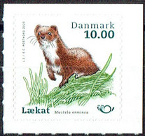 Denmark 2020. Fauna. MNH - Ongebruikt
