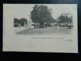 CARTE PRECURSEUR 1900                    CHALON-s-S                  PLACE DE BEAUNE - Chalon Sur Saone