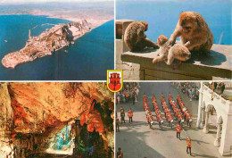 Gibraltar - Multivues - Singes - CPM - Voir Scans Recto-Verso - Gibilterra