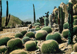 Fleurs - Plantes - Cactus - Eze Village - Le Jardin Exotique - Coussin De Belle-mère Et Candélabre - Mention Photographi - Cactusses