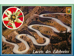 65 - Hautes Pyrénées - Vallée D'Aure - Route De Cap De Long - Les Lacets Des Edelweis (1850 M.) - CPM - Voir Scans Recto - Other & Unclassified