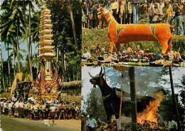 Indonésie - Bali - Cremation Is A Happy Occasion - Multivues - CPM - Voir Scans Recto-Verso - Indonesia