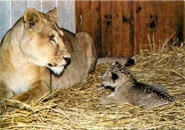 Animaux - Fauves - Lion - Zoo De La Palmyre - Lionne Avec Son Lionceau - CPM - Carte Neuve - Voir Scans Recto-Verso - Leoni