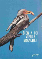 Animaux - Oiseaux - Carte Humoristique - CPM - Voir Scans Recto-Verso - Birds