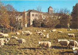 Animaux - Moutons - Dourgne - Abbaye Saint Benoit D'en Calcat - Façade Ouest - Troupeau De Moutons - Carte Gauffrée - CP - Autres & Non Classés