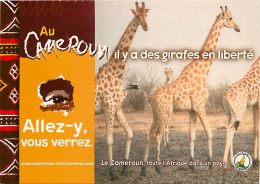 Animaux - Girafes - Cameroun - Parc National De Waza - Carte Publicitaire - Carte Neuve - CPM - Voir Scans Recto-Verso - Jirafas