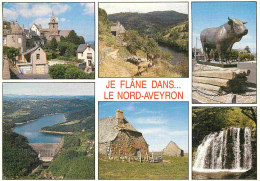 12 - Aveyron - Multivues - CPM - Voir Scans Recto-Verso - Sonstige & Ohne Zuordnung