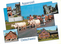 Animaux - Chèvres - Ostschweiz - Appenzell - CPM - Voir Scans Recto-Verso - Otros & Sin Clasificación