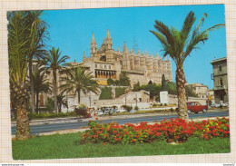 8AK4307 MALLORCA PALMA LA CATEDRAL VOITURES  2 SCANS - Mallorca