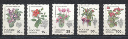 Russie 1993- Pot Plants Set (5v) - Unused Stamps