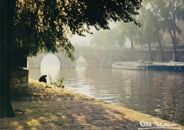 Paris Pont Neuf Sur La Seine Mélancolie Photo A Monier - Die Seine Und Ihre Ufer