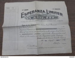 Titre Du 5 Mars 1913 De La " Esperanza Limited " ... Lot90 . - Autres & Non Classés