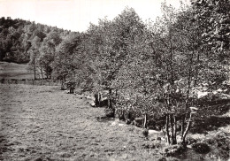 58 ANCHEZ MONTAGNE - Sonstige & Ohne Zuordnung