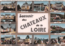 37 CHATEAUX DE LA LOIRE - Sonstige & Ohne Zuordnung