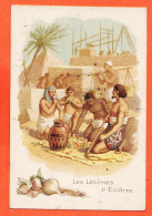 27279 / ♥️ ⭐ Chromo Moka LEROUX Chicorées  1890s ◉ Les Légumes D' EGYPTE  ◉ Lithographie Parisienne Paris - Tea & Coffee Manufacturers