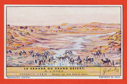 27288 / ⭐ Chromo LIEBIG ◉ Série 165 Sahara Ou Grand Desert N° 3 ◉ L' Oued  - Liebig